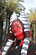 IMG_0720 