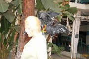 IMG_0781 
